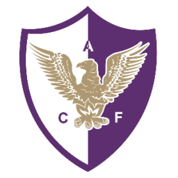 芬斯队